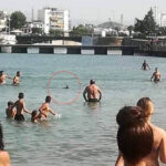 βασιλικη ζαργανα ξιφιας χαλκιδα