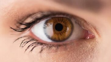 brown-eye