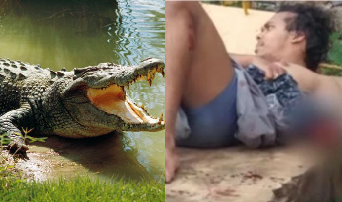 επιθεση κροκοδειλου viral video