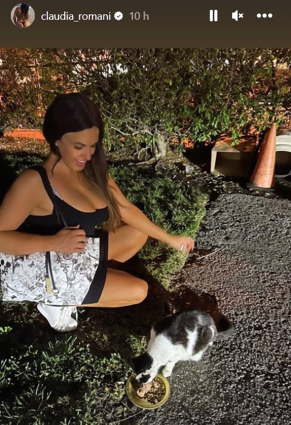 Κλαούντια Ρομάνι: Σκύβει ταΐζει αδέσποτη γάτα, δείχνει χαράδρα και εμείς θέλουμε να την ποτίσουμε
