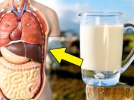 Γιατί δεν πρέπει να πίνεις μη παστεριωμένο γάλα