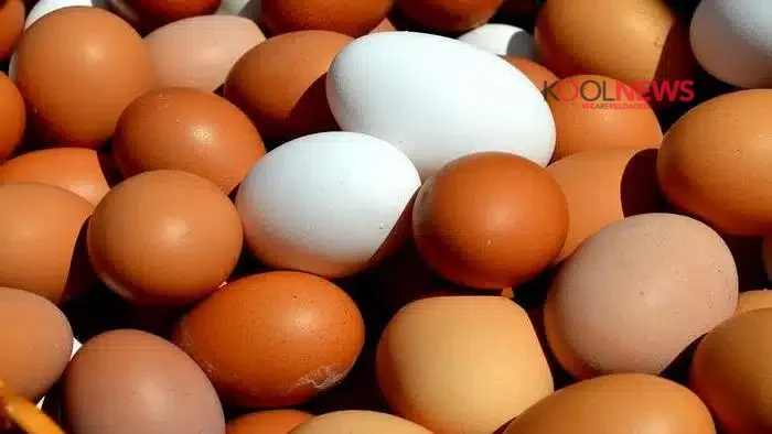 Τι θα συμβεί στο σώμα σας αν τρώτε 2 αυγά την ημέρα;